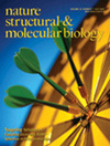 NATURE STRUCTURAL & MOLECULAR BIOLOGY杂志封面